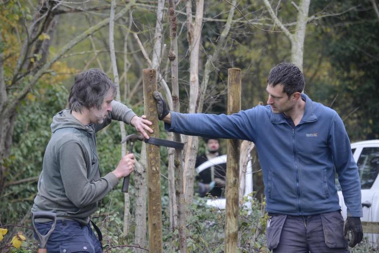 Ipswich Tree Warden Network volunteers working together on a community project.